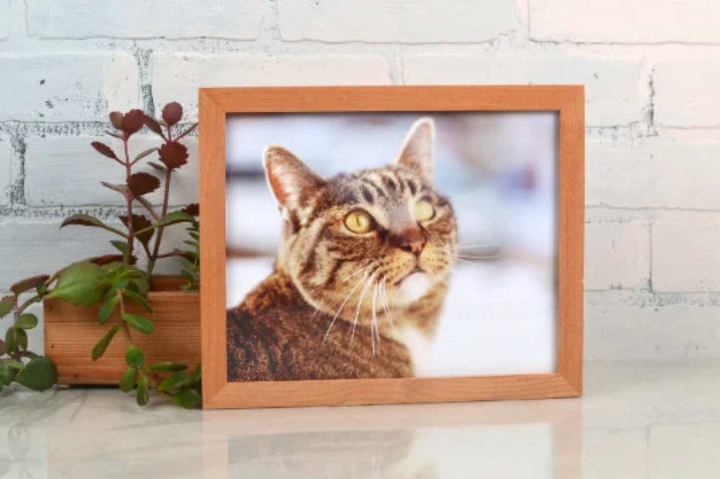 Peewee frame style in Solid Natural Alder Hardwood - Choose your size - FREE SHIPPING!