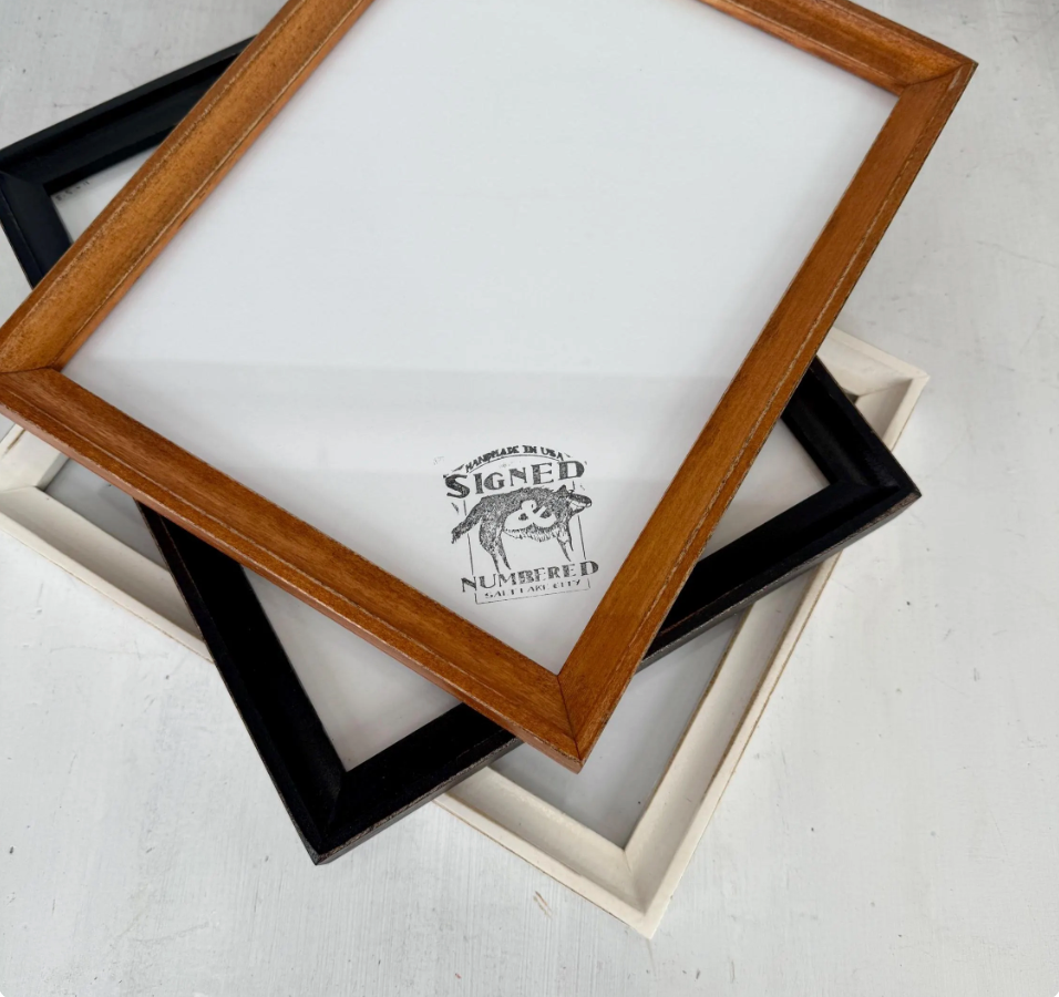 Foxy Cove Style Picture Frame - Choose Your Size & Color - Ships Right Away - FREE SHIPPING