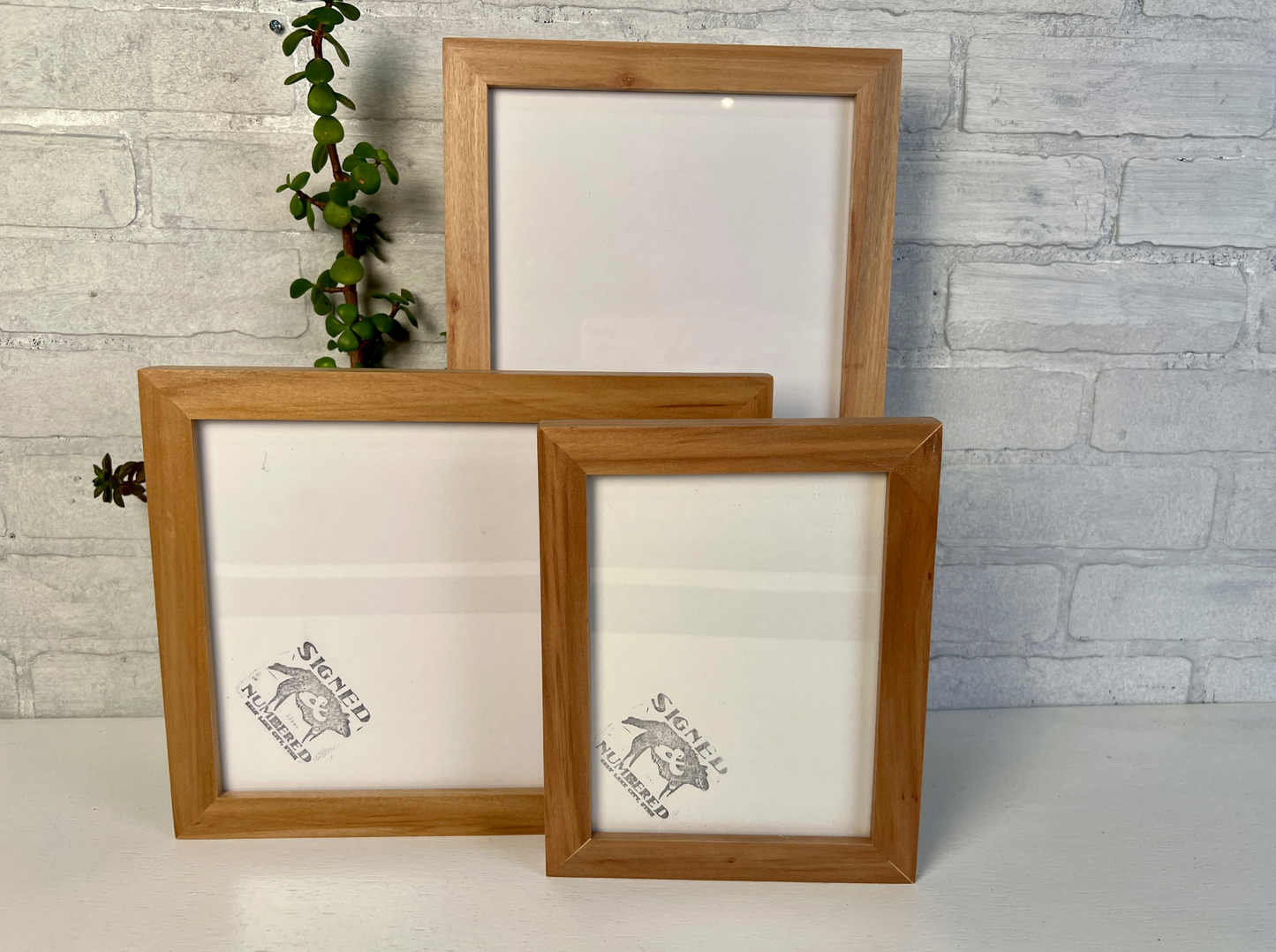 1x1 Flat frame style in Solid Natural Willow Hardwood - Choose your size - FREE SHIPPING!