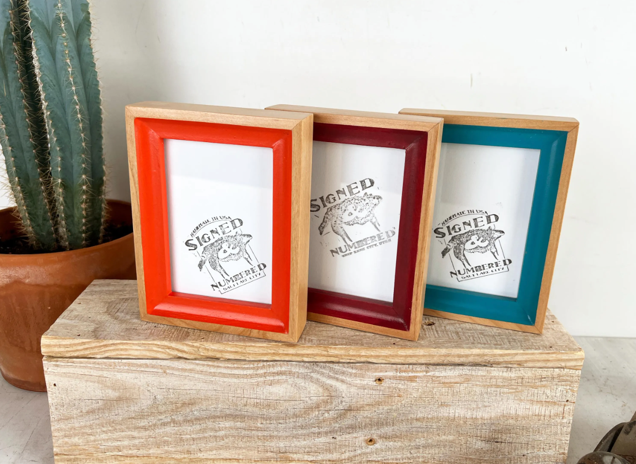 Foxy Minus Style Picture Frame - Choose your size & color - Ships Right Away
