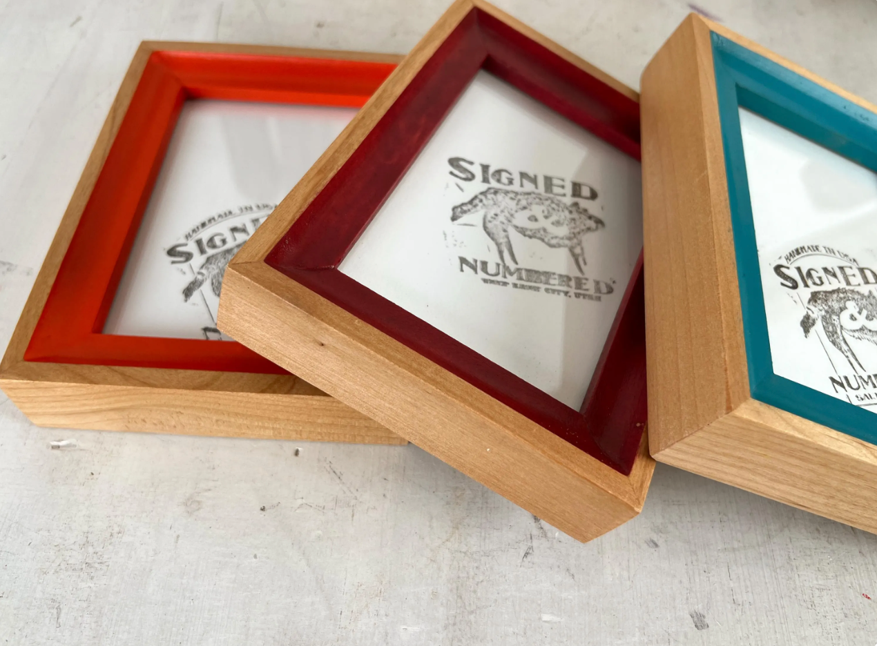 Foxy Minus Style Picture Frame - Choose your size & color - Ships Right Away