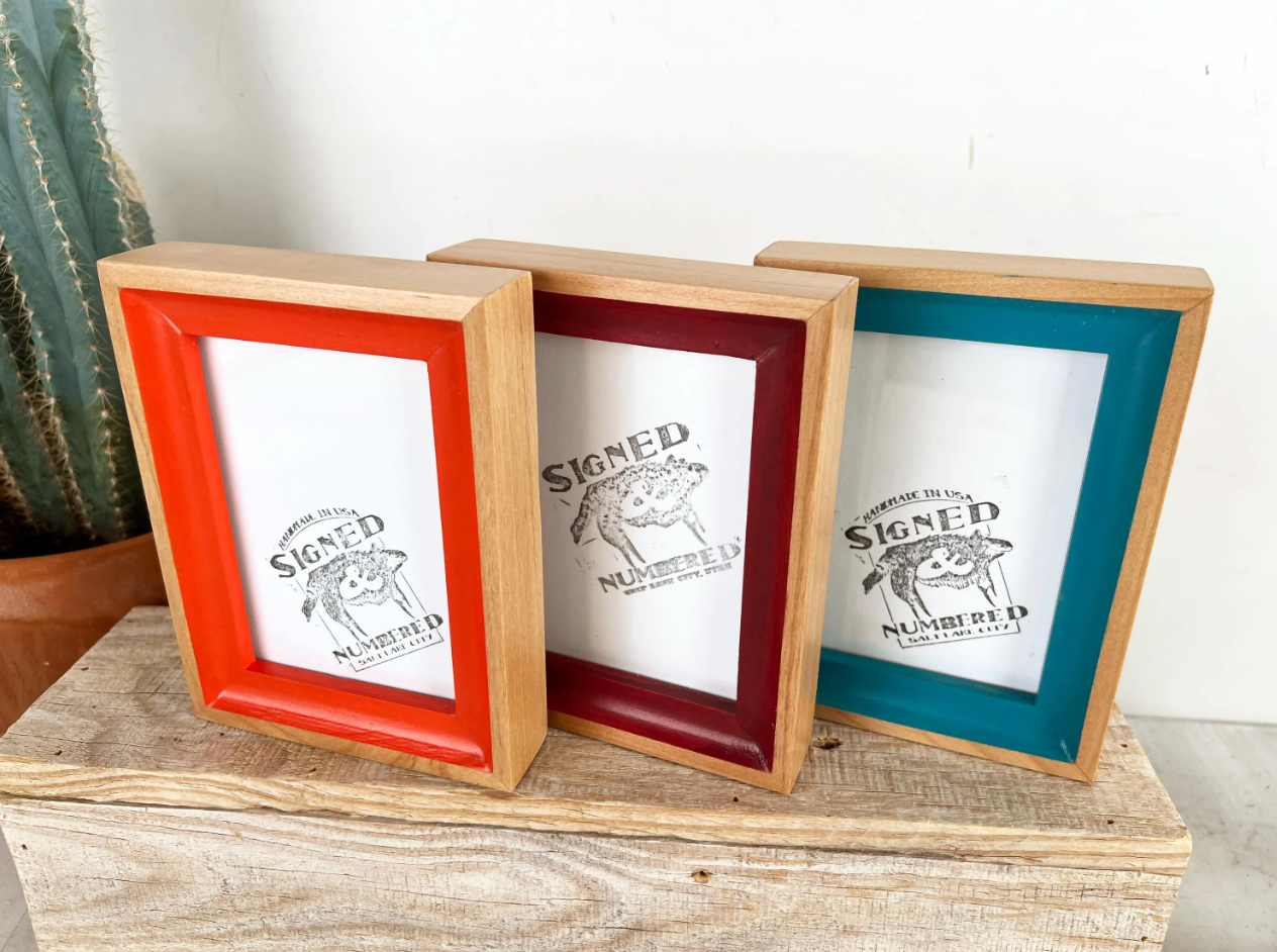 Foxy Minus Style Picture Frame - Choose your size & color - Ships Right Away