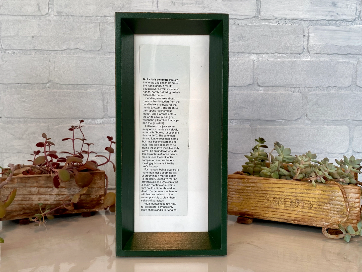 4x10" frame in Park Slope style - Choose your color - FREE SHIPPING