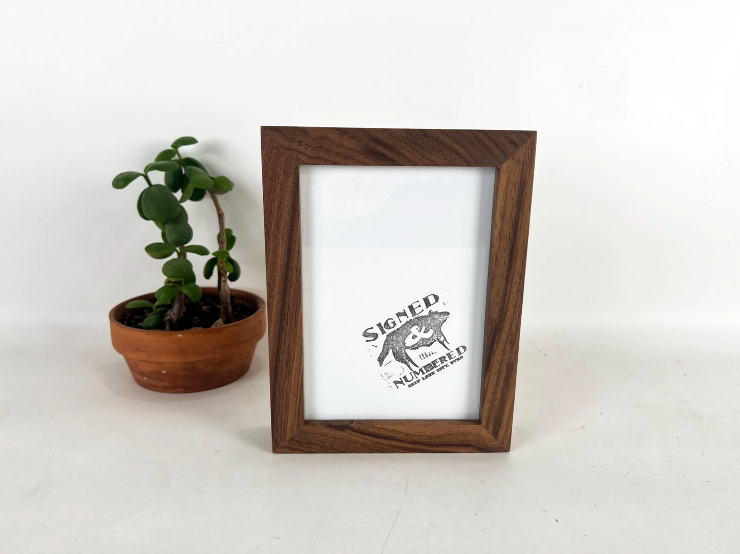 Solid Walnut Picture Frame in Deep Flat Hardwood Molding - Choose Your Size - Ships Right Away!