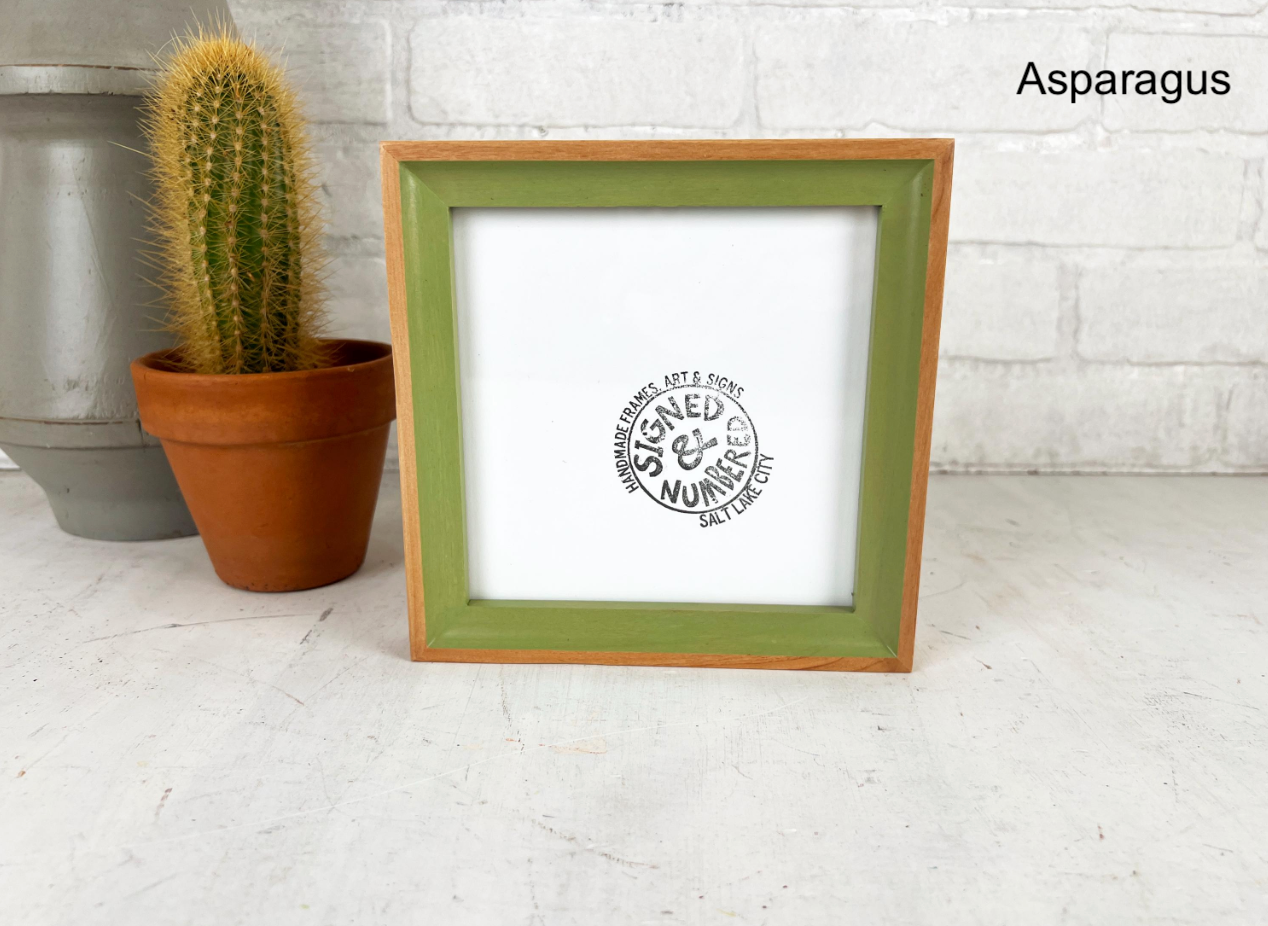 Foxy Minus Alder Style Picture Frame - Choose your size & color - Ships Right Away