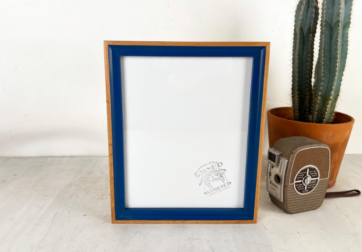 Foxy Minus Alder Style Picture Frame - Choose your size & color - Ships Right Away